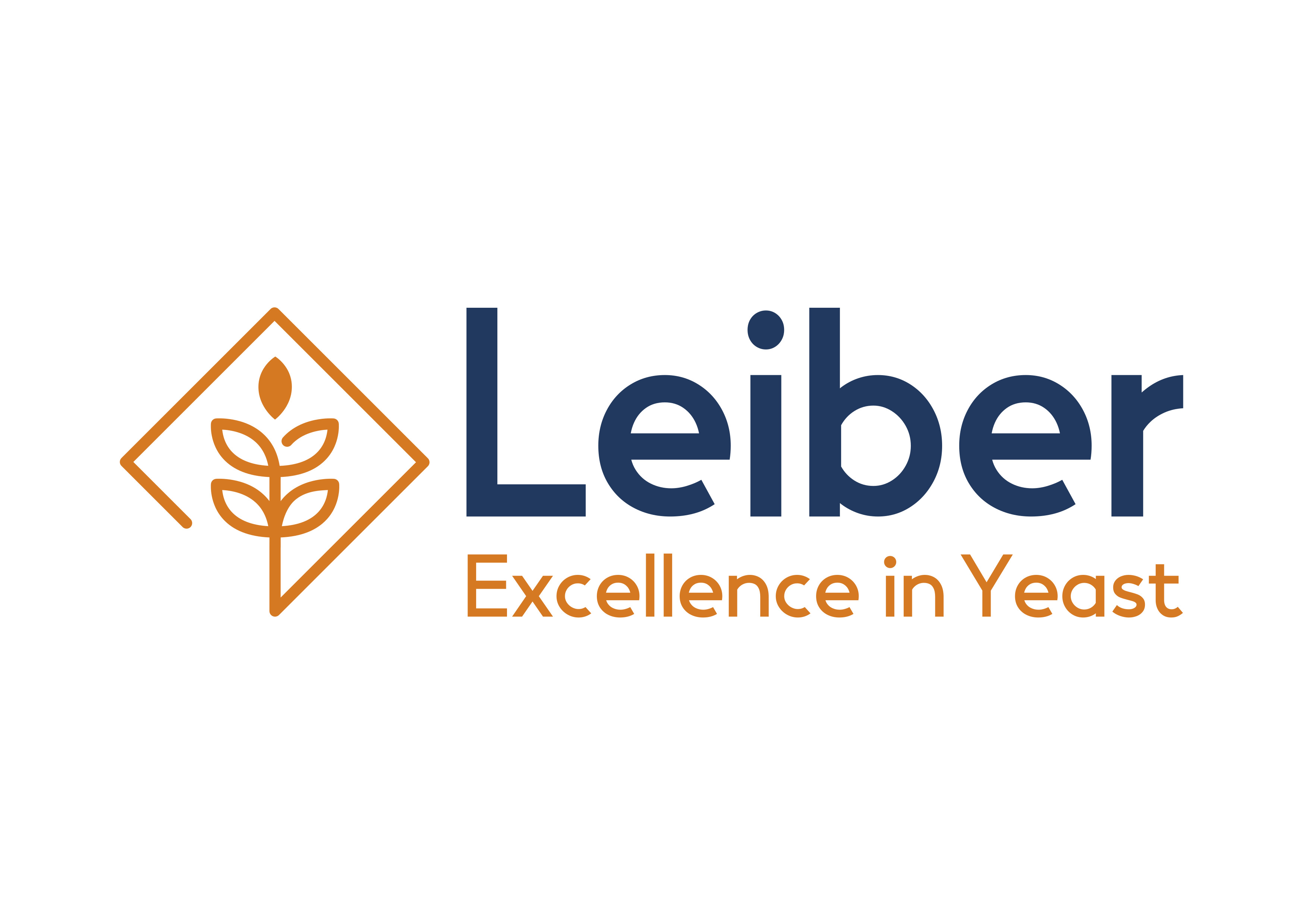 Leiber GmbH